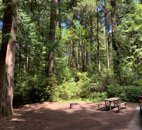 campgrounds near florence oregon|THE 10+ BEST Campgrounds near FLORENCE, OR